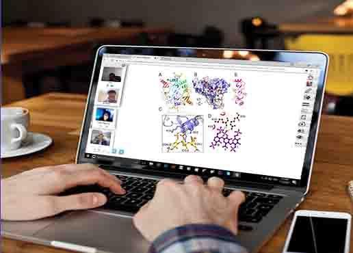 Online teaching of Biology Online teaching of Biology